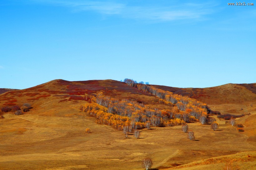 河北坝上秋景图片大全