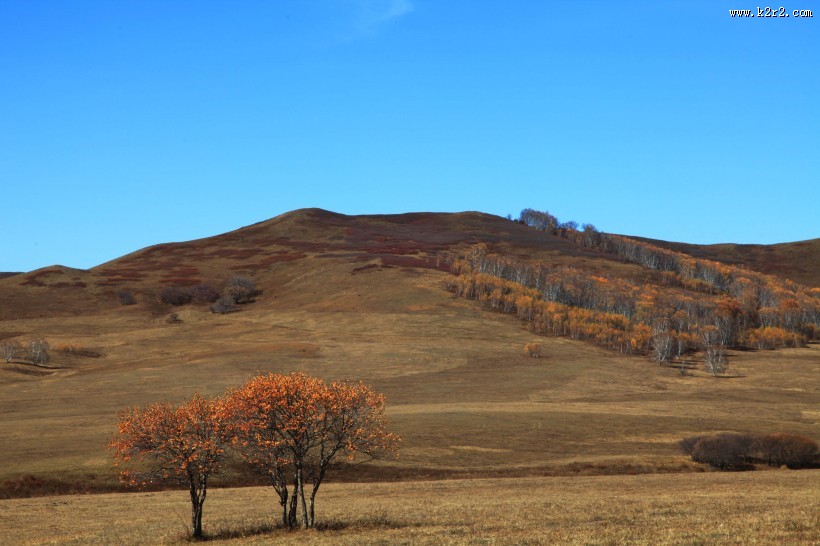 河北坝上秋景图片大全
