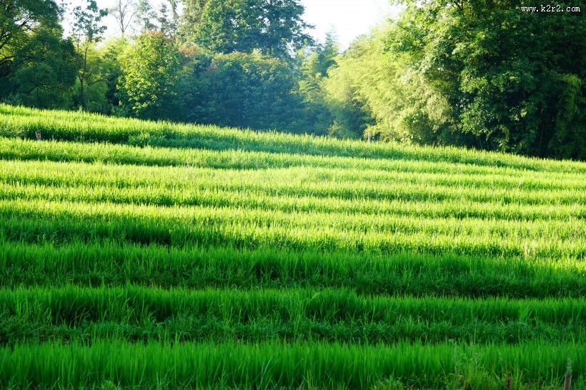 云南腾冲田园风景图片大全
