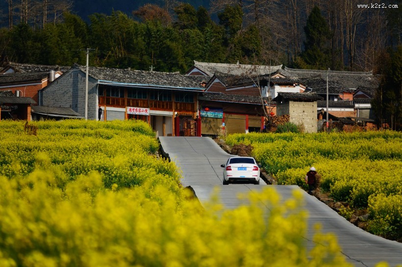 云南腾冲田园风景图片大全