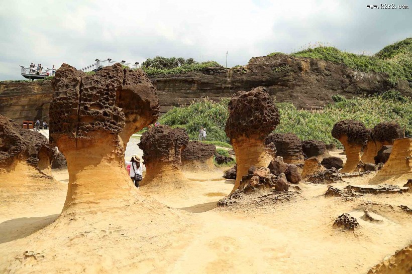 台湾野柳地质公园风景图片