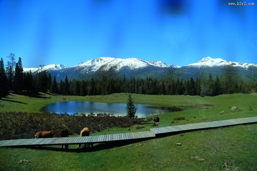新疆喀纳斯风景图片
