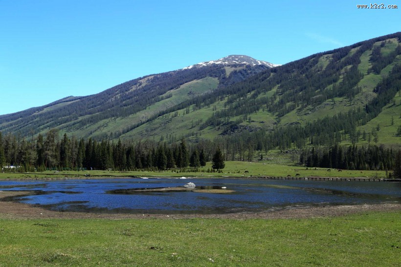 新疆喀纳斯风景图片