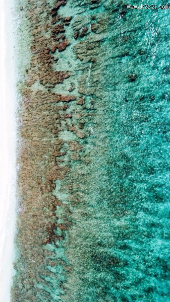 马尔代夫共和国清澈见底的海水图片