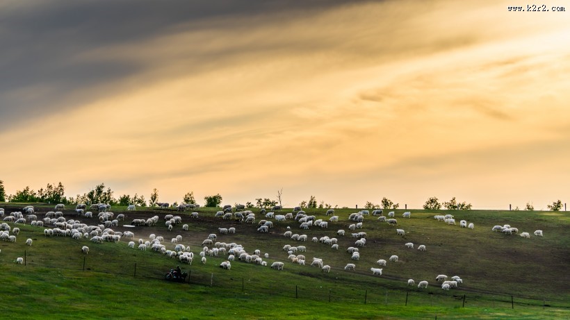 内蒙古呼伦贝尔草原风景图片大全