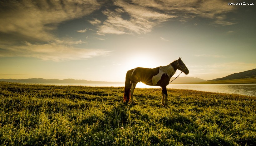 新疆赛里木湖风景图片