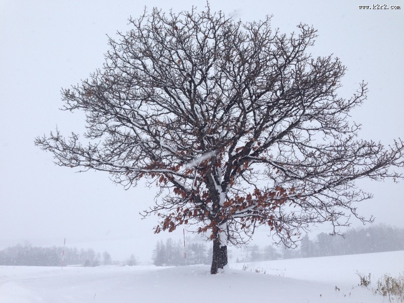 日本北海道风光图片大全