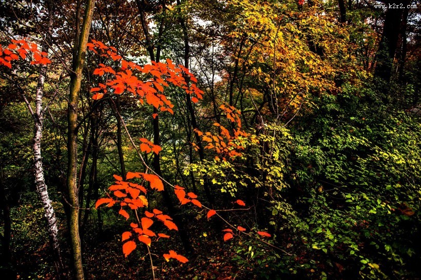 山西太行山风景图片大全