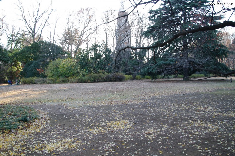 日本新宿御苑的图片大全