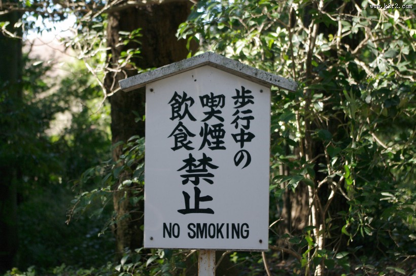 日本明治神宫的图片