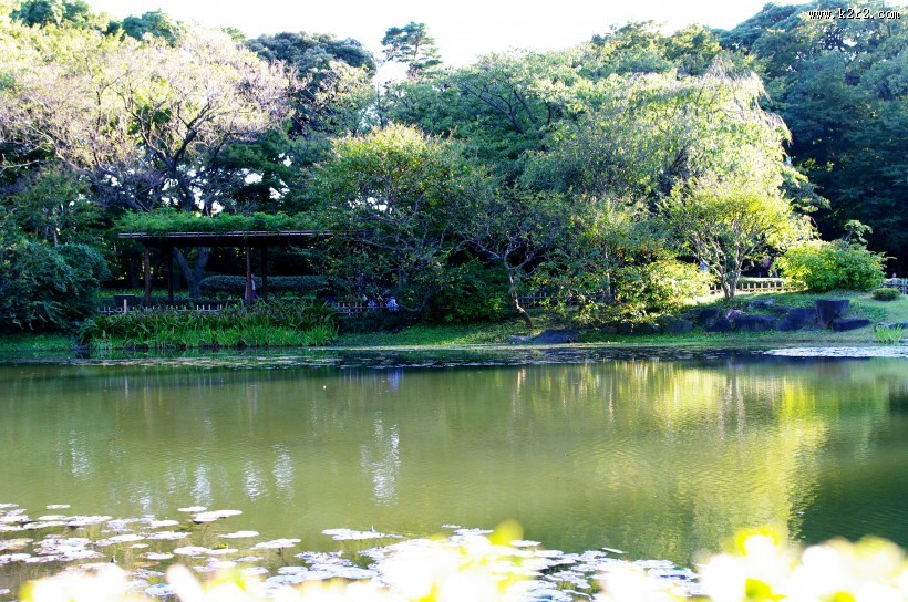 日本皇居的图片