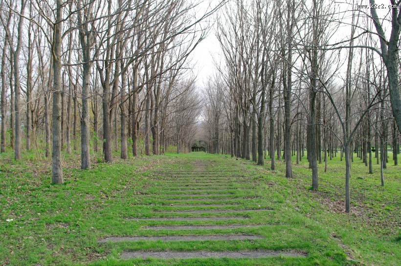 日本前田森林公园的图片大全