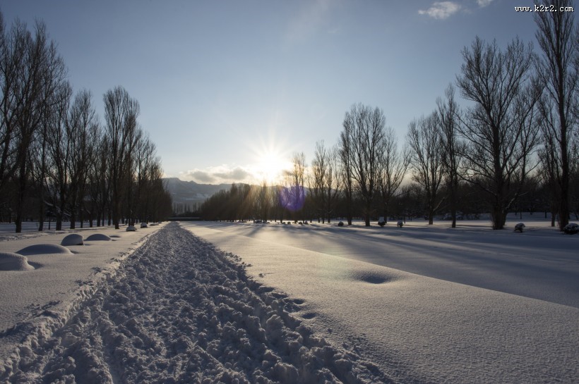 日本前田森林公园的图片大全