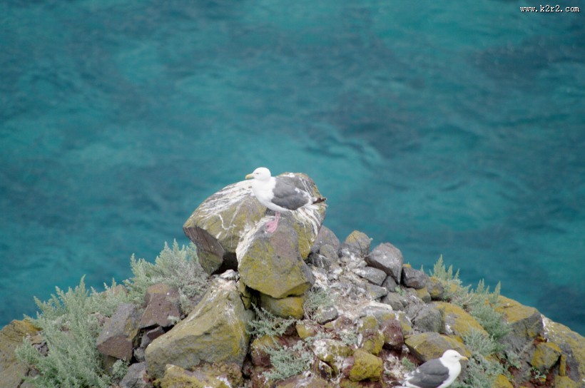 日本积丹半岛的图片