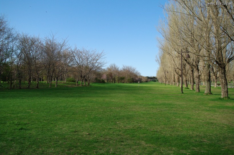 日本前田森林公园的图片