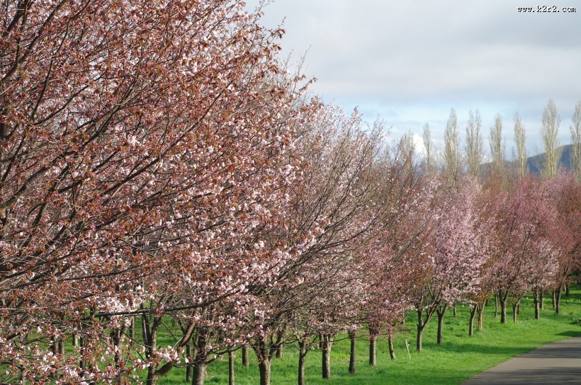 日本前田森林公园的图片