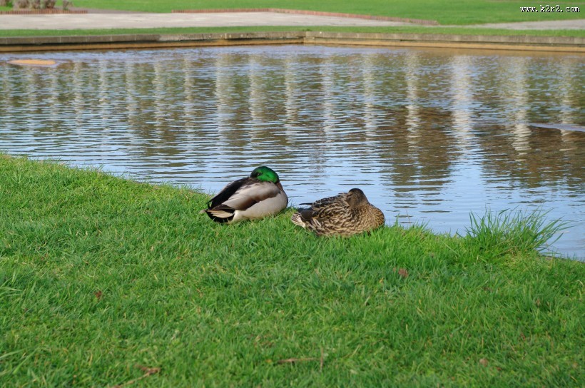 日本前田森林公园的图片