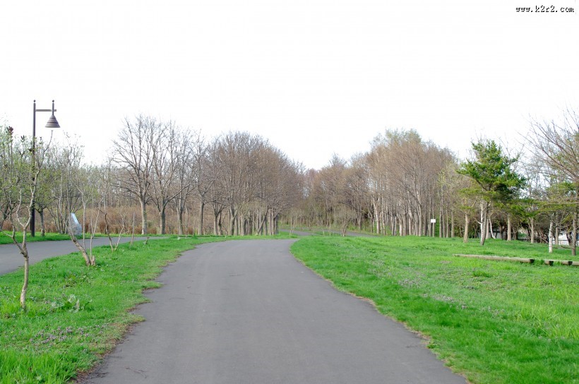 日本前田森林公园的图片