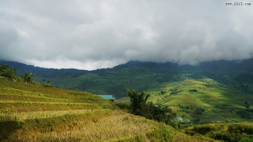 越南山地梯田风景图片