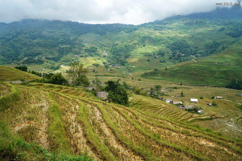 越南山地梯田风景图片