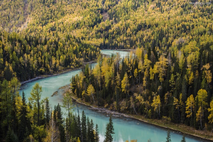 新疆喀纳斯秋天风景图片