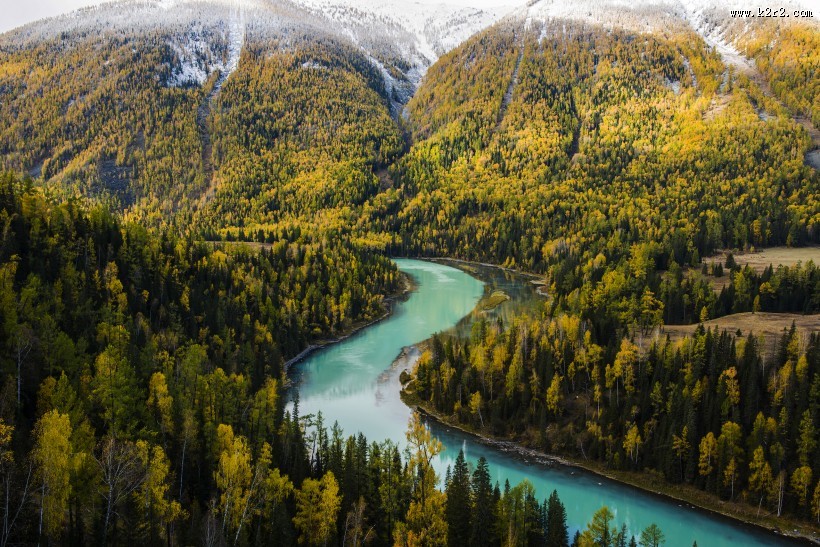 新疆喀纳斯秋天风景图片