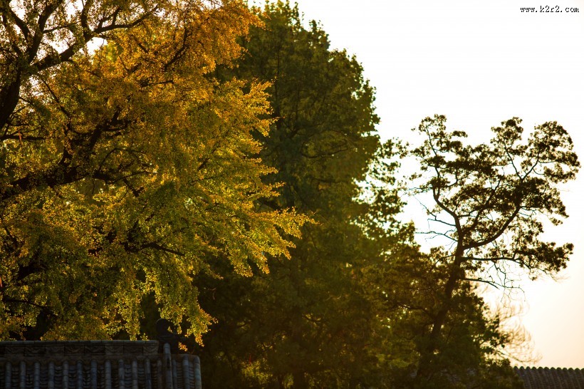 河南洛阳宜阳灵山寺风景图片
