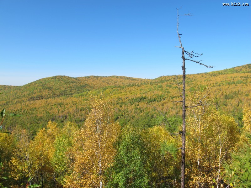 内蒙古呼伦贝尔大草原秀丽风景图片大全