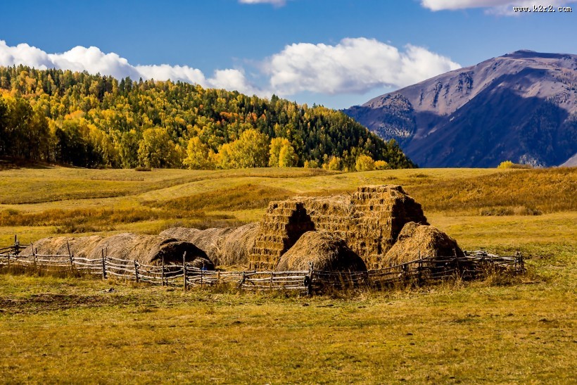 新疆禾木风景图片