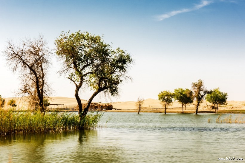 新疆罗布人村寨风景图片