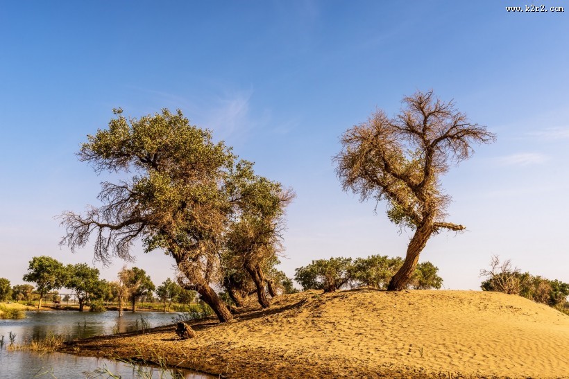 新疆罗布人村寨风景图片