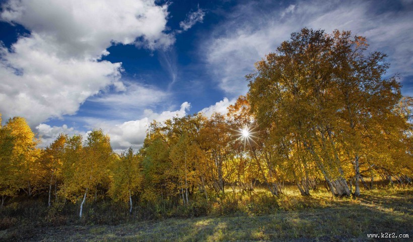 内蒙古乌兰布统风景图片