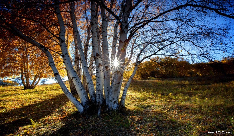 内蒙古乌兰布统风景图片