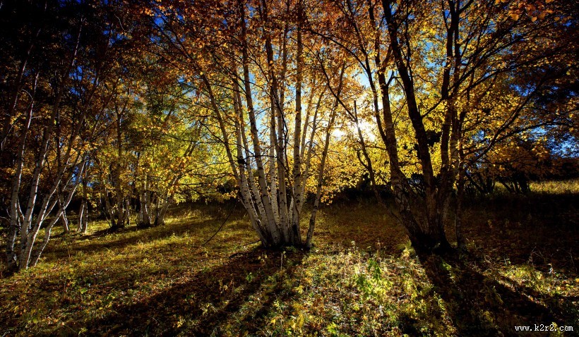 内蒙古乌兰布统风景图片