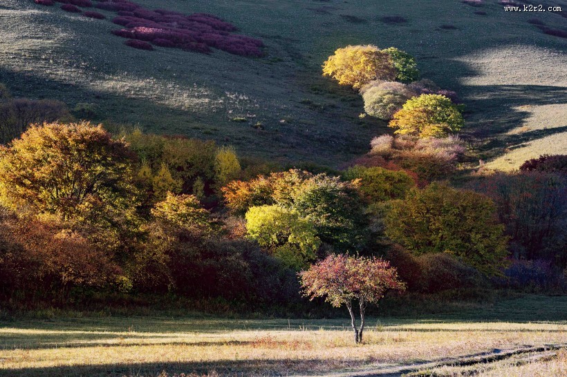 内蒙古乌兰布统风景图片