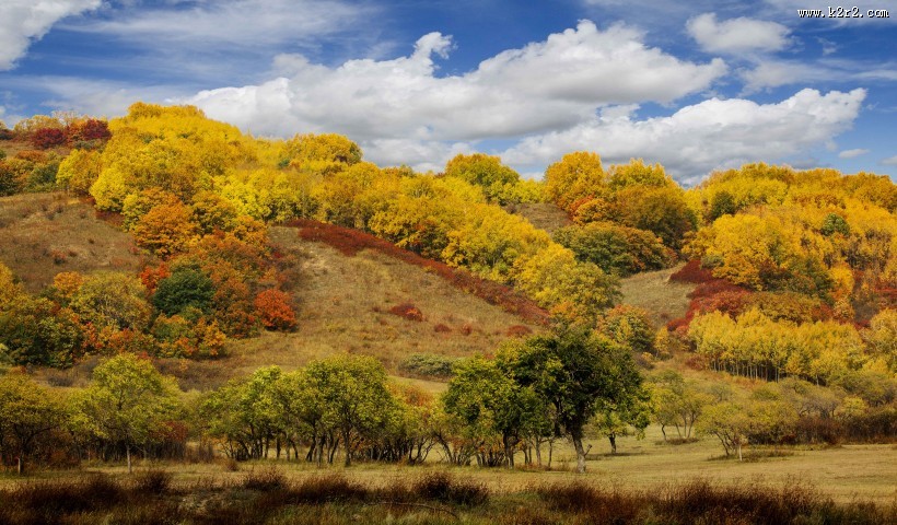 内蒙古乌兰布统风景图片大全