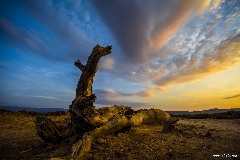 新疆木垒胡杨林风景图片大全