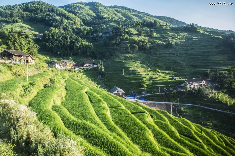 湖南紫鹊界梯田风景图片大全