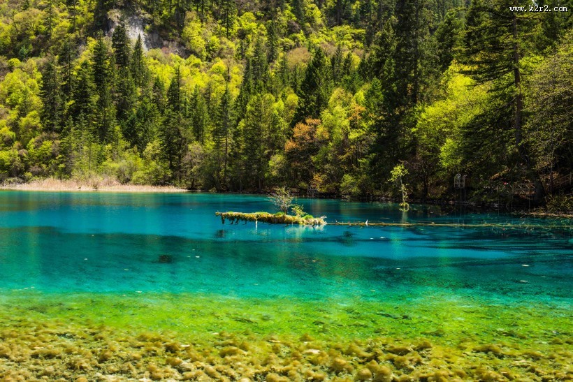 四川九寨沟风景图片大全