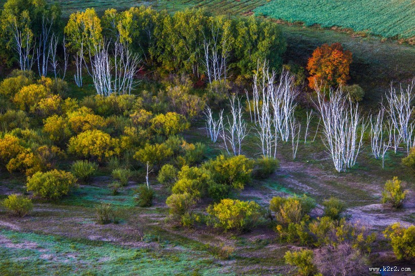 初秋坝上风景图片