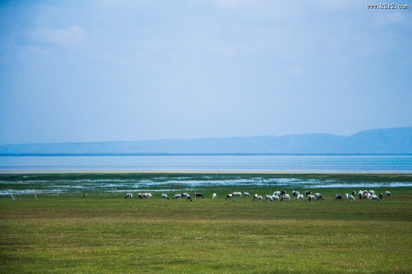 四川花湖优美风景图片