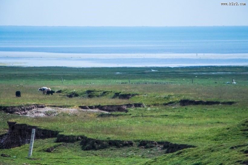 四川花湖优美风景图片
