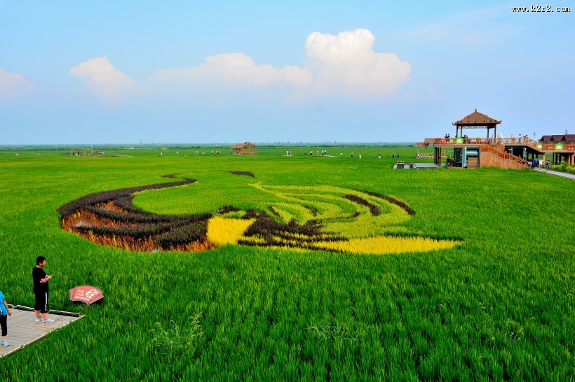 辽宁盘锦红海滩风景图片
