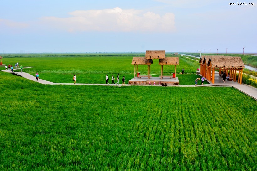 辽宁盘锦红海滩风景图片