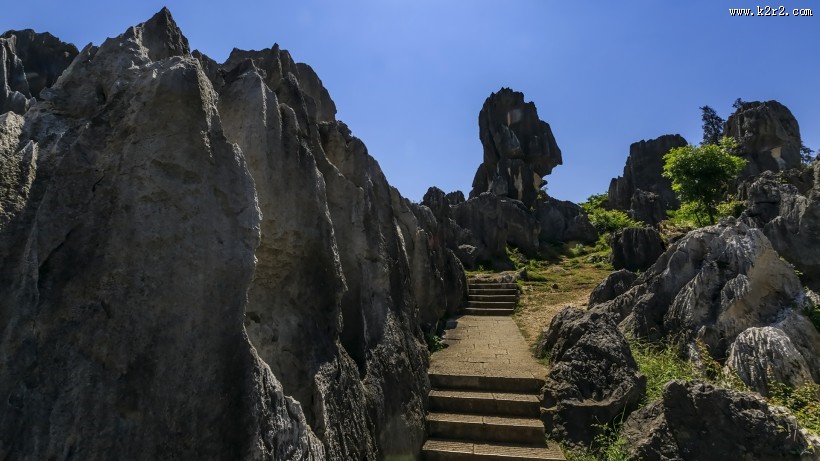 云南昆明石林风景图片