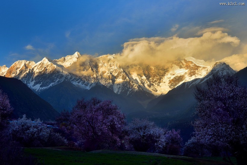 西藏林芝桃花风景图片大全