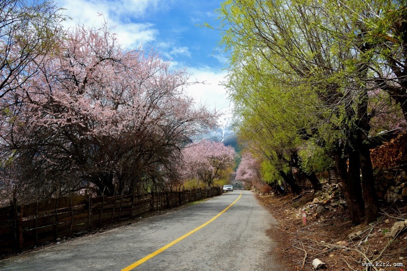 西藏林芝桃花风景图片大全