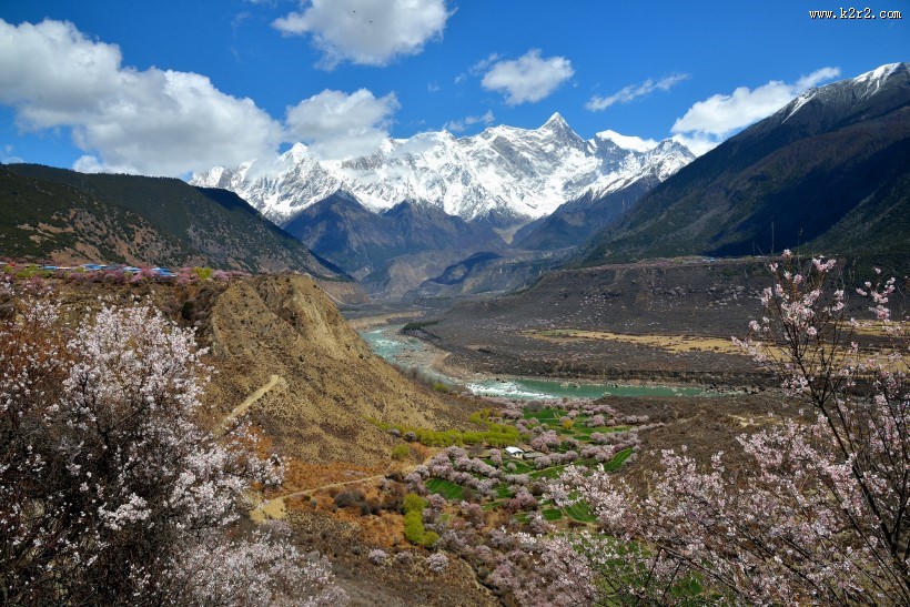 西藏林芝桃花风景图片大全