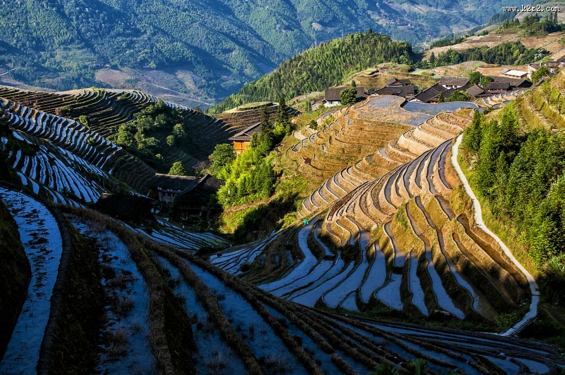 广西龙脊梯田风景图片