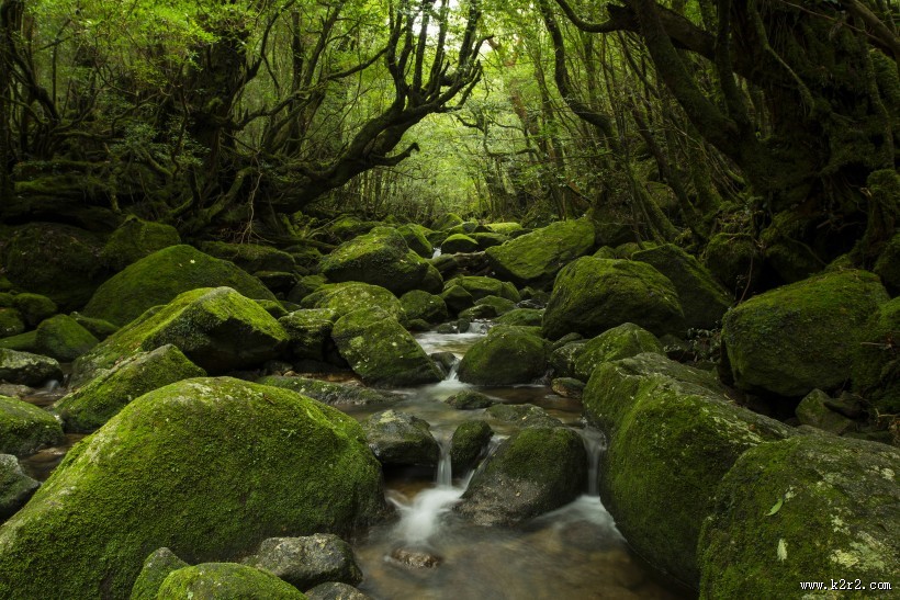 湖南张家界风景图片